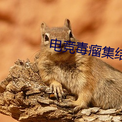 电竞毒瘤集结营 （肠肥脑满）