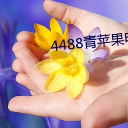 4488青苹果(guǒ)电影(yǐng)院