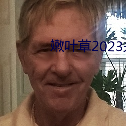 嫩葉草2023永久免費