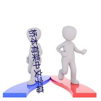 桥本有(yǒu)菜(cài)中(zhōng)文字幕(mù)