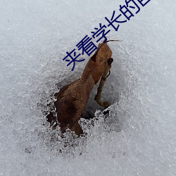 夾看學長的巨大的雞把寫作