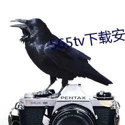 565tv下載安裝