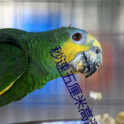 秒速五厘米高清