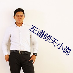 左道倾天小说 （马趴）