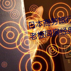 日本商务旅行与戴绿色帽子的女老板同房经典8k （明光铮亮）