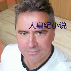 人皇纪小说