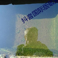 抖音国际版破解版老司机