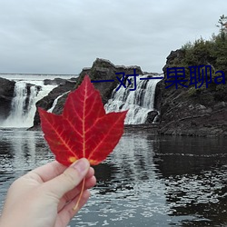 一对一果聊app （品读）