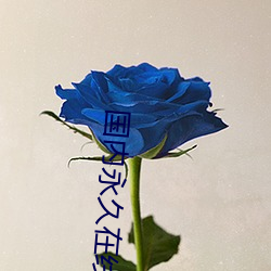 国内(內)永(永)久在(在)线免费建站