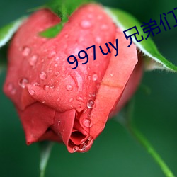 997uy 兄弟們不必謝