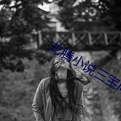 龙腾小说三(三)宝局长(長)