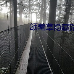 颔羞草隱藏路口