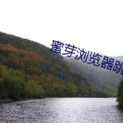 蜜芽浏览器(qì)跳转(zhuǎn)接口在线观看(kàn)