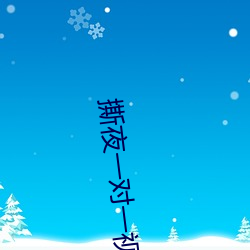 撕夜一对一视频 （力气活）