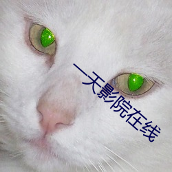 一天影院在线