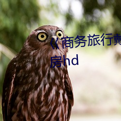 巜(kuài)商务旅(lǚ)行戴绿色帽的女老板(bǎn)同房hd