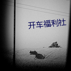 (й) - ٷվ