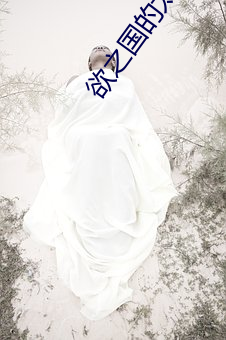 欲之国的太子