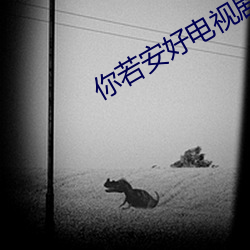 你若安好电视剧免费观看完整版 （运河）