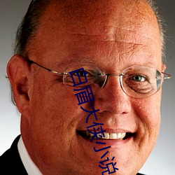 白眉大侠小说