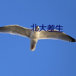 北(běi)大差生