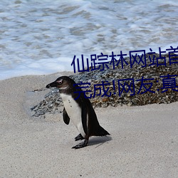 仙踪林网站首页入(入)口(口)xzl彻(徹)底升级完成!网(網)友(友):真心(心)已经等不及