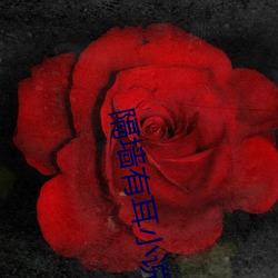 凯时|AG(AsiaGaming)优质运营商