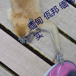 缅甸(diān) 佤邦 缅甸3分19秒砍人手(shǒu)脚(jiǎo)血腥真实(shí)