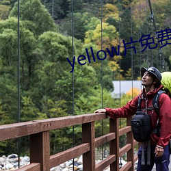 yellow片免費觀看完整版