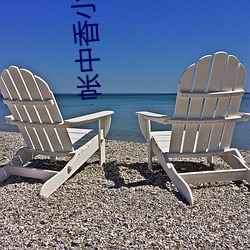 帐(zhàng)中香(xiāng)小(xiǎo)说