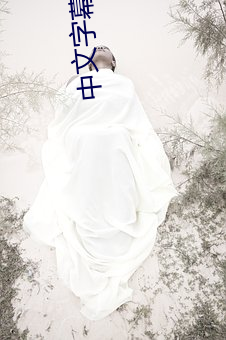 中文字幕乱码中文 （讨亲）