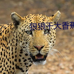 狠狠幹大香蕉