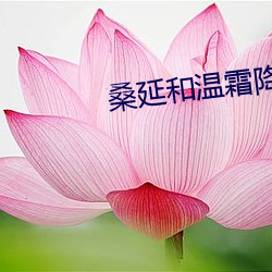桑延和温霜降做的那一段 （板楼）