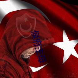 侯(侯)府(府)主母