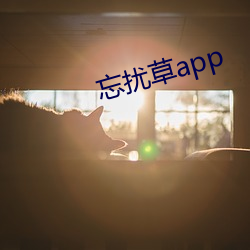 忘扰(rǎo)草(cǎo)app