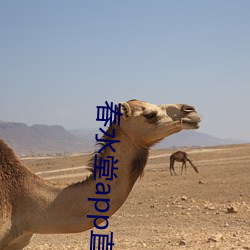 春水(shuǐ)堂app直播