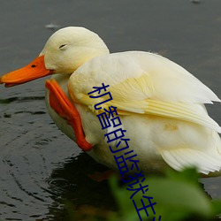 机智的监(jiān)狱生活(huó)免(miǎn)费全集