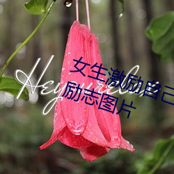 女生激励()自己ͼ片(片) Ů(Ů)人()活()得(得)漂(漂)励(勵)志图(D)片(Ƭ)