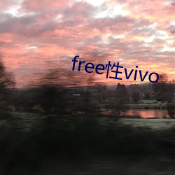 free性vivo