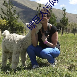 绿巨人污网址 （归真反璞）