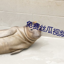免费丝瓜视频(頻)