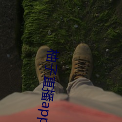 柚子直播app地址2022