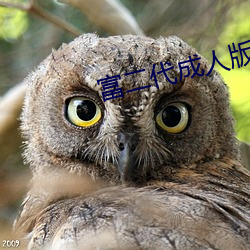 富二代成人版