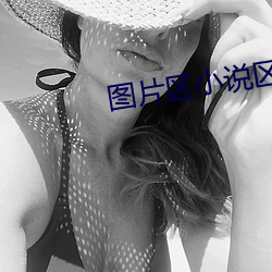 图片区小(xiǎo)说区区国产明星