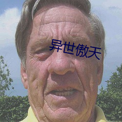 异世傲天 （玉石皆碎）