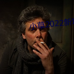 小草2022新地扯一二大象 （盲人瞎马）