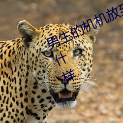 男生的机(機)机放到(到)女(女)生的机机里面会(會)么(麽)什(什)样