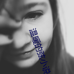 温暖的弦(xián)小说