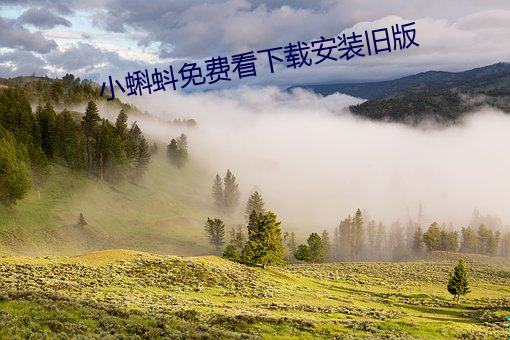 &#x6734;&#22958;&#x551B;28&#37096;&#x5168;&#38598;&#x65E0;&#21024;&#x51CF;&#29256; - &#20813;&#x8D39;&#35266;&#x770B;&#30701;&#x89C6;&#39057;&#x7684;app&#x8F6F;&#20214;