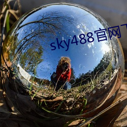 sky488官网下(下)载地址